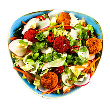 Vegan Falafel Fishbowl